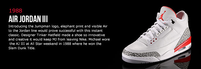 Air Jordan 3 Air Jordan 3