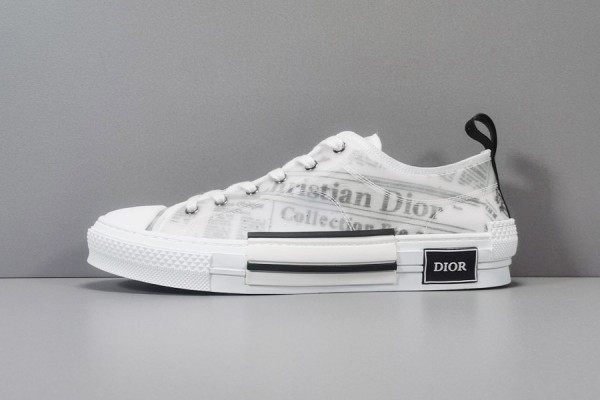 Dior B23 Low Top Daniel Arsham Newspaper