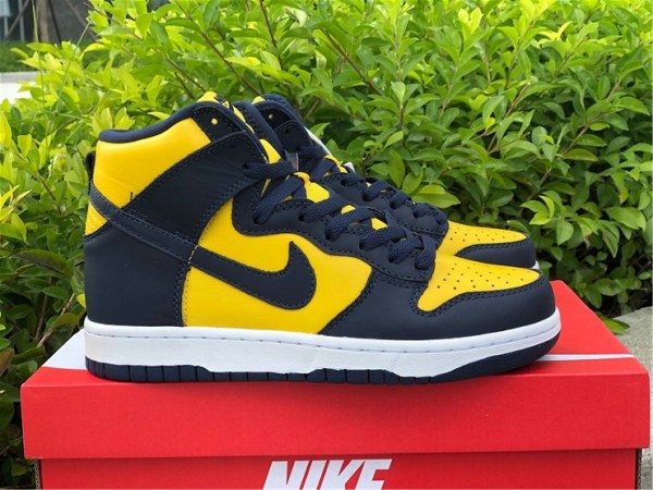 Nike Dunk High Michigan (2020) 