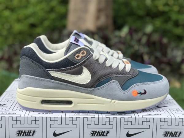 Air Max 1 Kasina Won-Ang Grey