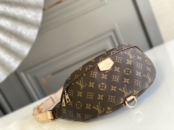 Louis Vuitton Bumbag Monogram