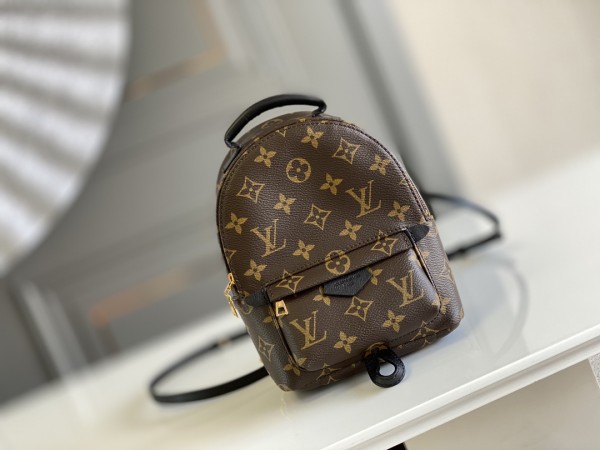 Louis Vuitton Palm Springs Mini Monogram