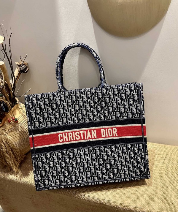 Dior Book Tote Bag - In Lights 