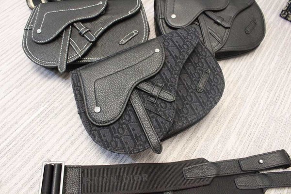 Dior Saddle Pouch Embroidered - Black 