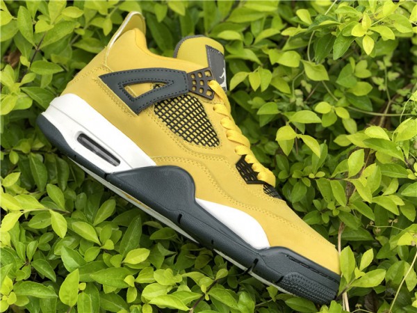 Air Jordan 4 Retro  Lightning 