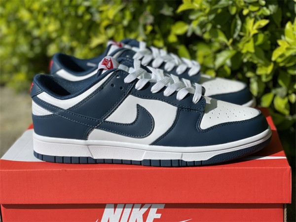 Nike Dunk Low 'USA' (2022) 