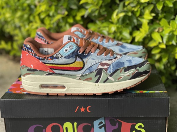 Nike Air Max 1 SP Concepts Heavy 2022