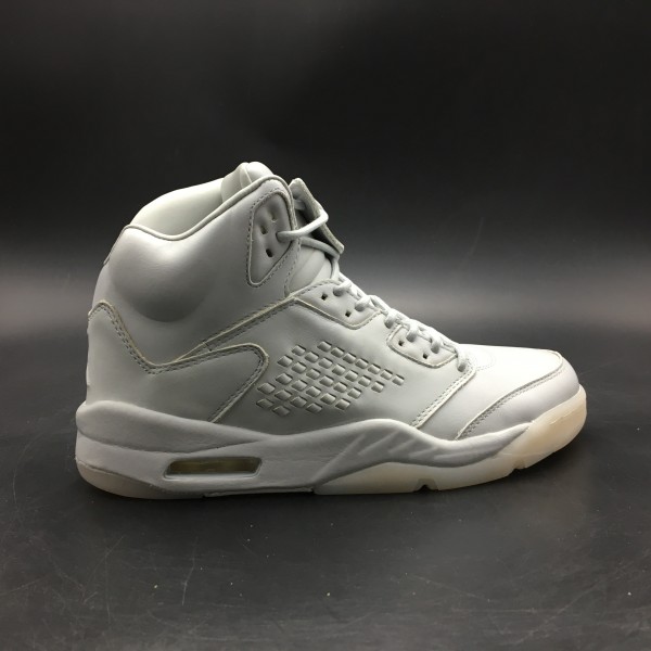 Air Jordan 5 Retro Premium 'Pure Platinum'