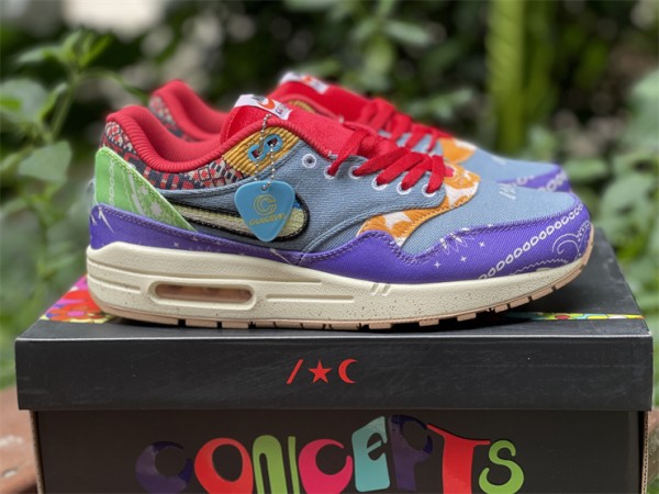 Nike Air Max 1 'Concepts Multi Color' 