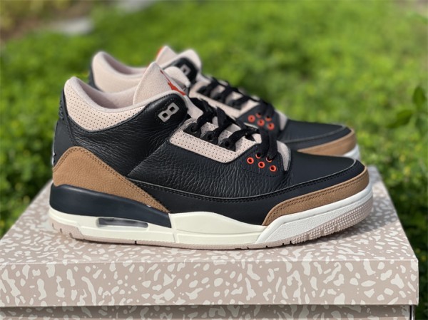 Air Jordan 3 Desert Cement (2022)
