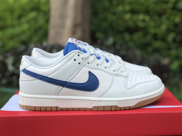 Nike Dunk Low Retro DX3198-133 