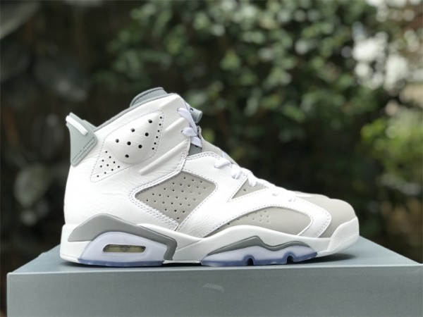 Air Jordan 6 Cool Grey 