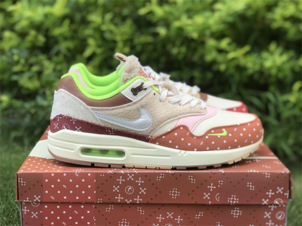 Nike Air Max 1 PRM Woman's Best Friend 