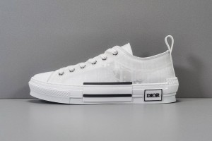 Dior B23 Low Top Oblique Sneaker 