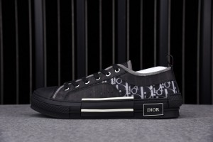 Dior B23 Low Top Canvas Oblique Black 
