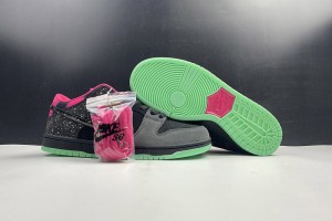 Premier x Nike Dunk SB Low Northern Lights 