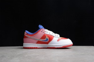 CPFM x Nike Dunk Low Rainbow