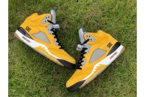 Air Jordan 5 Retro Tokyo T23 