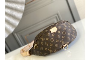 Louis Vuitton Bumbag Monogram