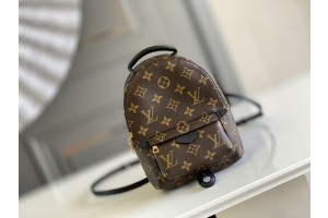 Louis Vuitton Palm Springs Mini Monogram