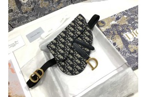 Dior Saddle Belt Bag Oblique Blue 