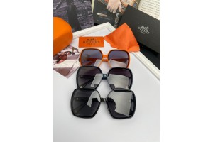 Hermes Sunglass HM8032