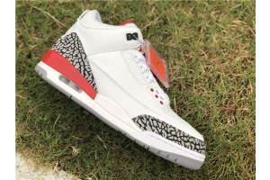 Air Jordan 3 Retro Hall of Fame