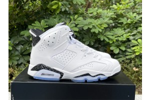 Air Jordan 6 "Reverse Oreo"