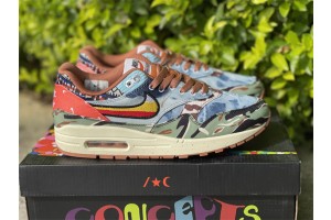 Nike Air Max 1 SP Concepts Heavy 2022