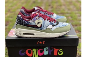 Nike Air Max 1 SP Concepts Mellow 2022 