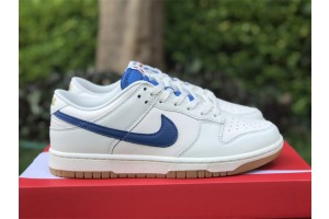 Nike Dunk Low Retro DX3198-133 