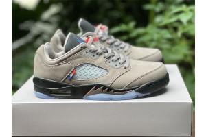 Paris Saint Germain X Air Jordan 5 Retro Low 'Paname'