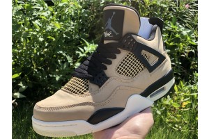 Air Jordan 4 Retro Fossil (W)