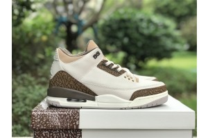 Air Jordan 3 "Palomino" 2023 