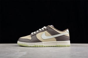 Nike Dunk Low Velcro Tongue 