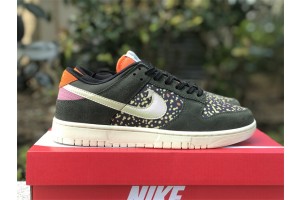 Nike Dunk Low Rainbow Trout 